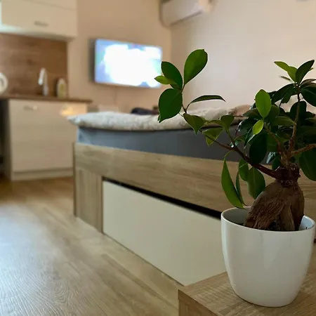 House Close To Bojnice *