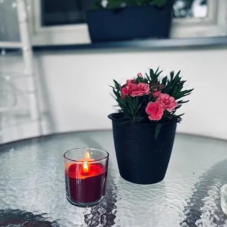 아파트 House Close To Bojnice 프리에비드자