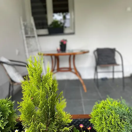 House Close To Bojnice Prievidza