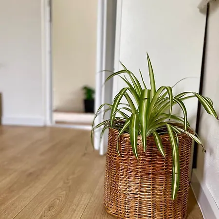 House Close To Bojnice