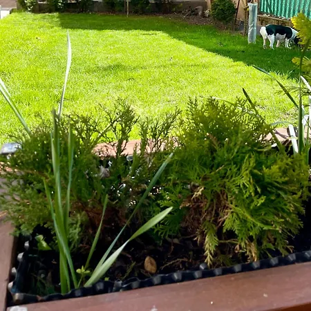 House Close To Bojnice *